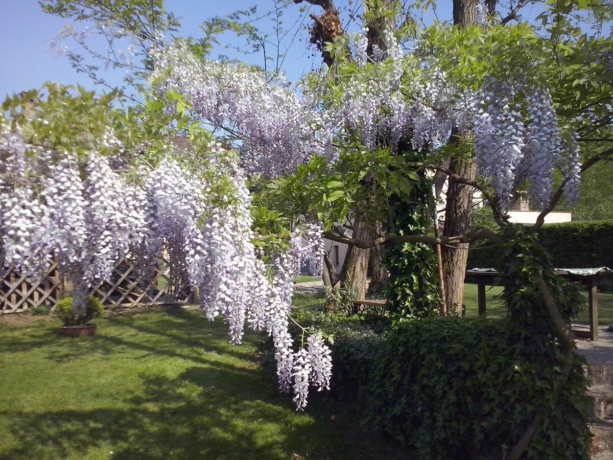 L'Ape In Corte Casa Di Campagna, Via Francigena Stanze E Colazione Vaccarizza Экстерьер фото